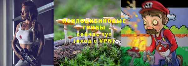 круглые Арсеньев