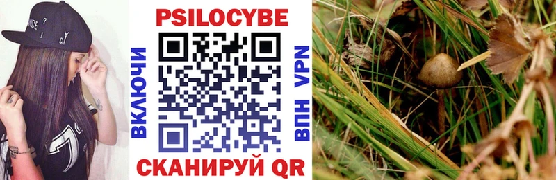 Купить  Горячий Ключ  Псилоцибиновые грибы Magic Shrooms 